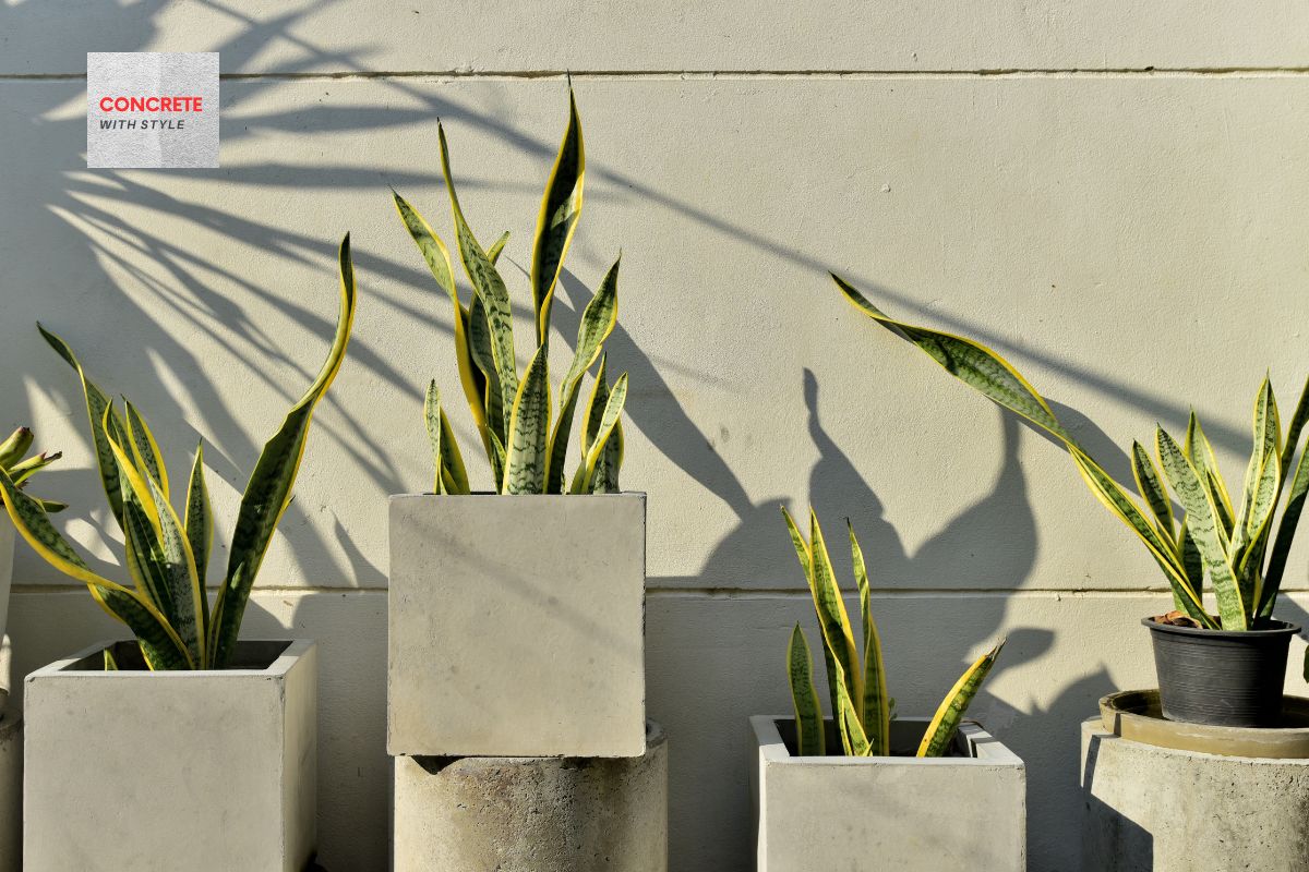 budget-friendly concrete decoration